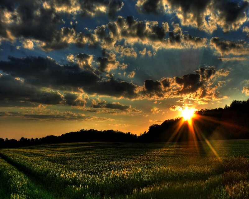 Sunset over a green field