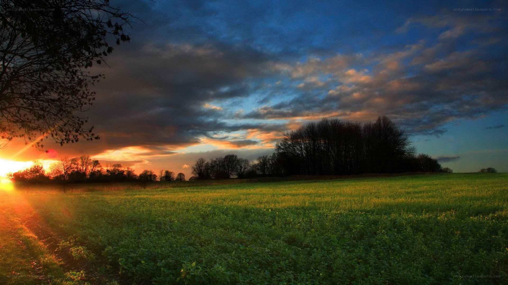 Sunset over a green field