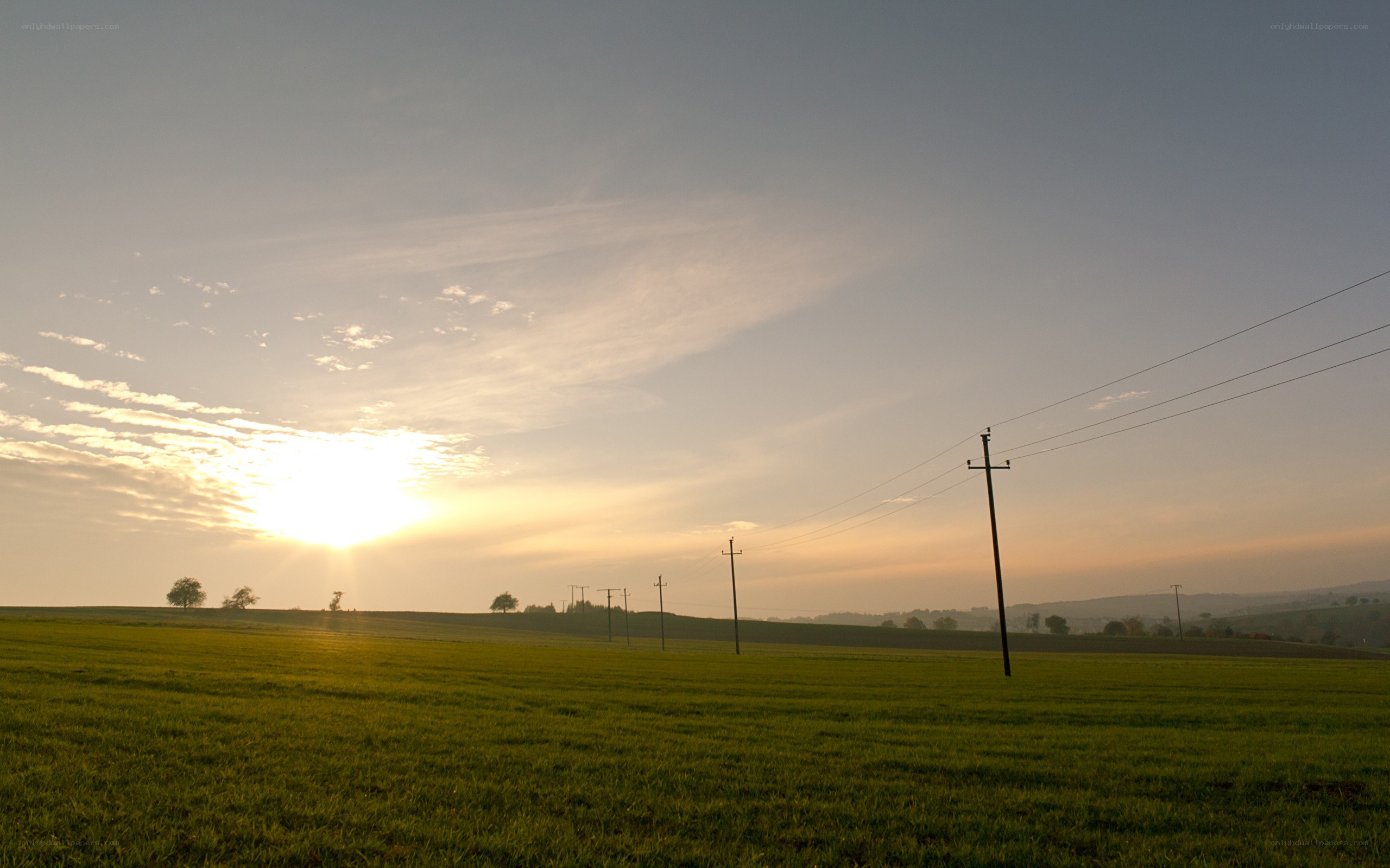 Sunset over a green field