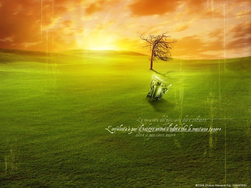 Sunset over a green field
