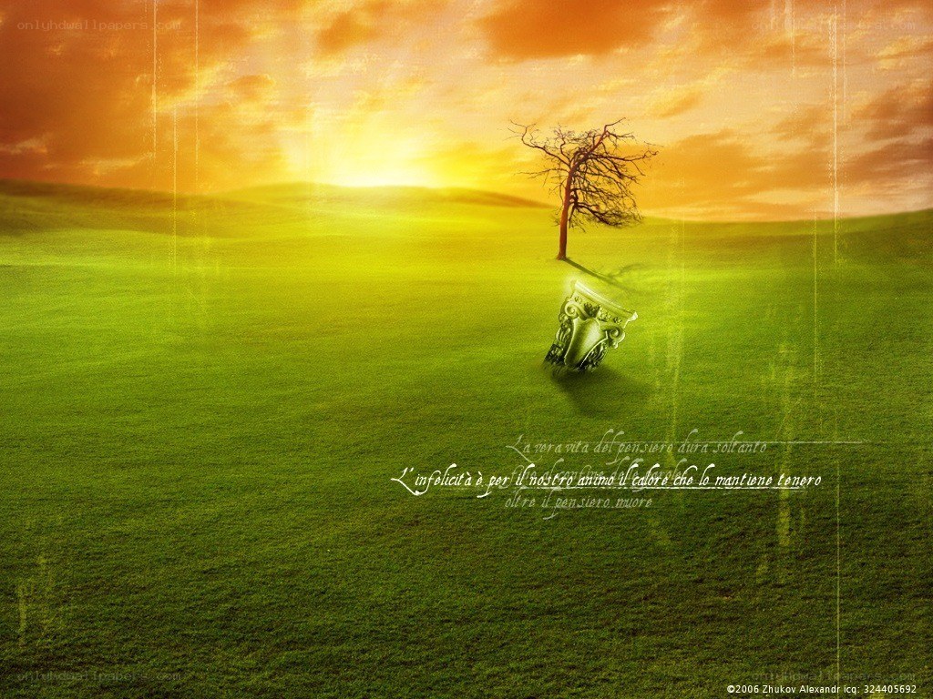 Sunset over a green field