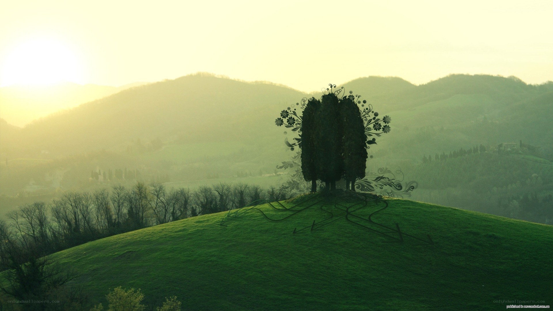 Sunset over a green hill