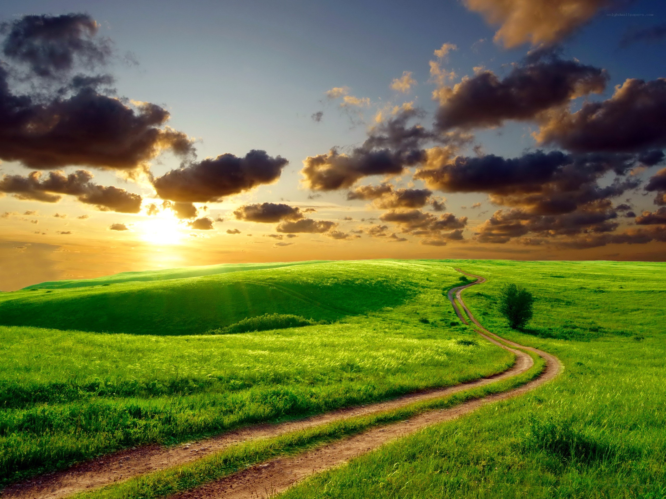 Sunset over a green hill