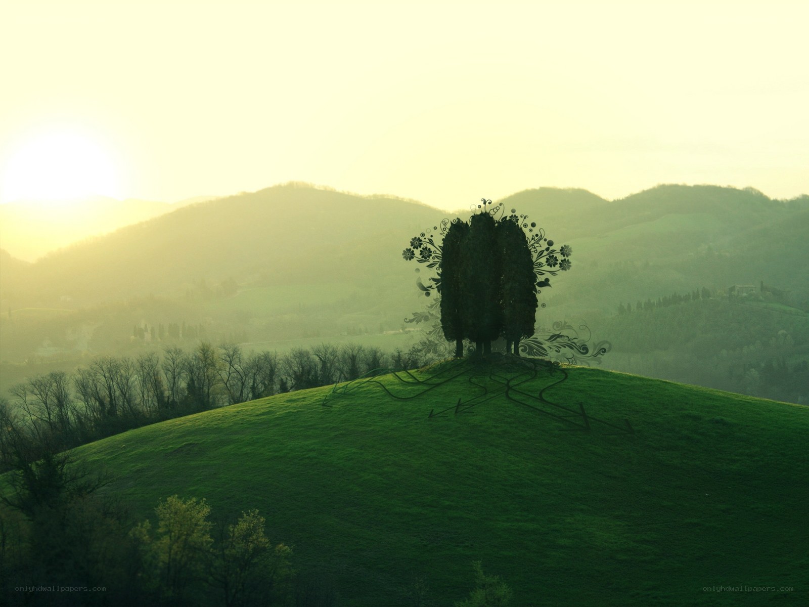Sunset over a green hill