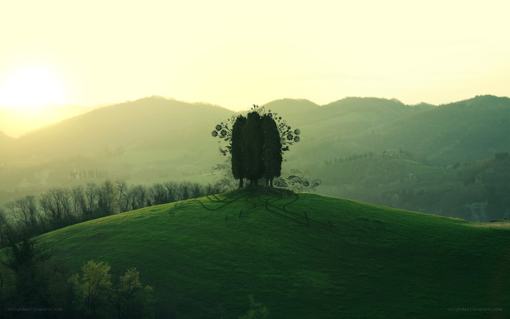 Sunset over a green hill