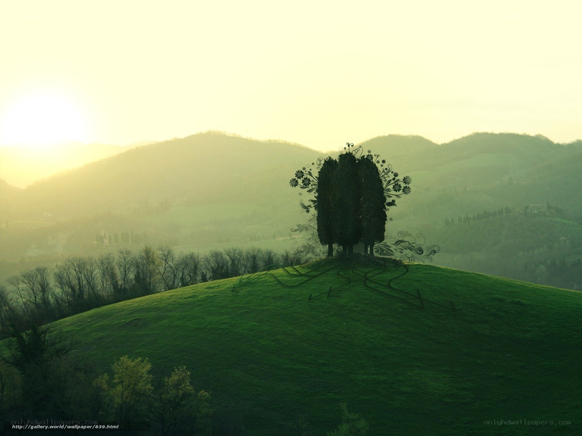 Sunset over a green hill