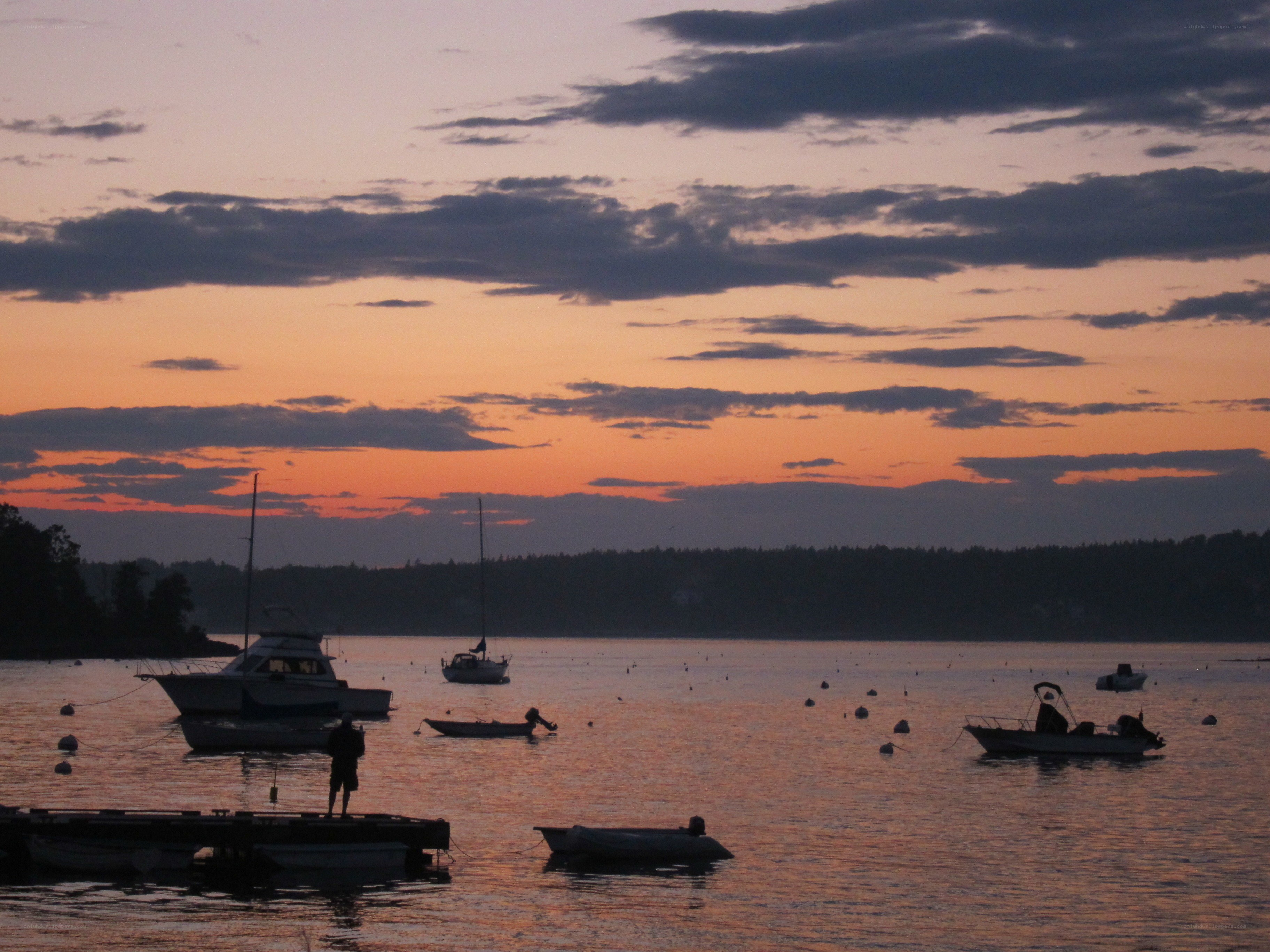 sunset over a harbor with boats