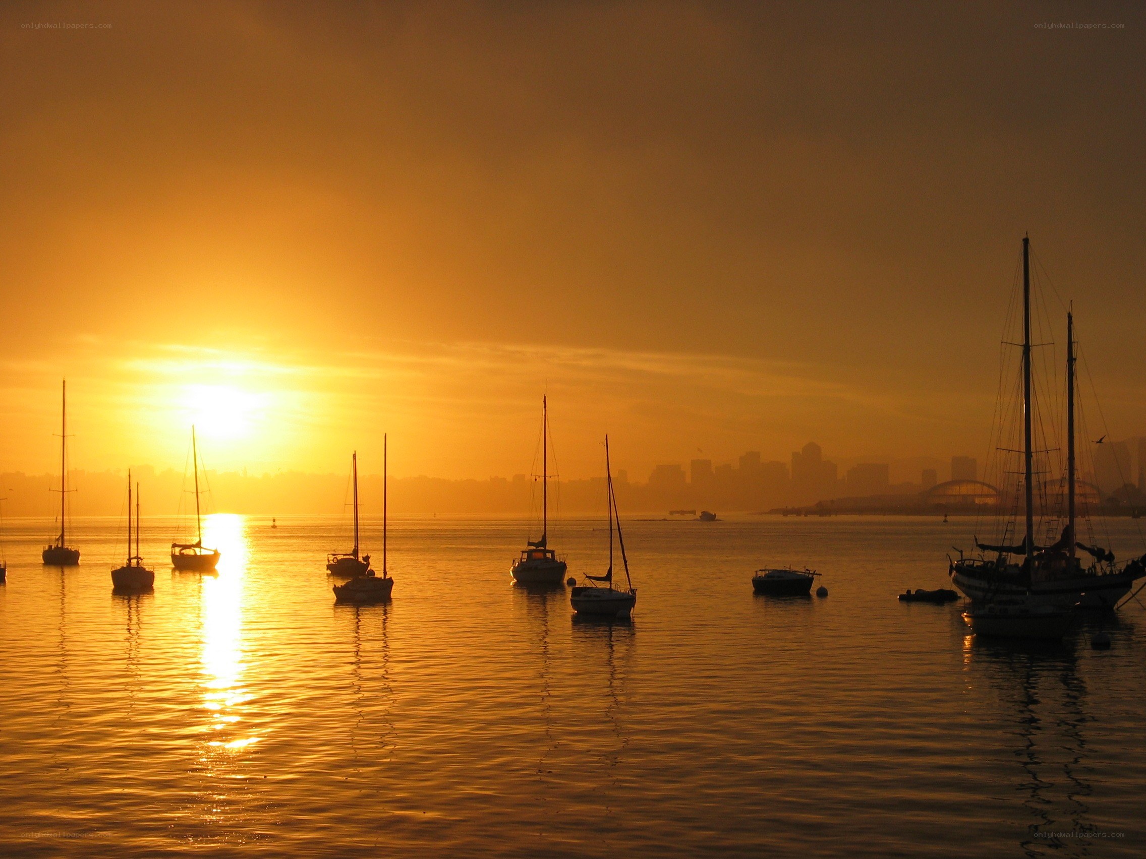 Sunset over a harbor with boats