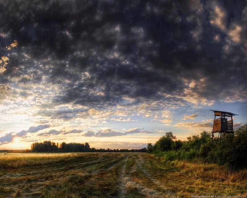 Sunset over a harvested field