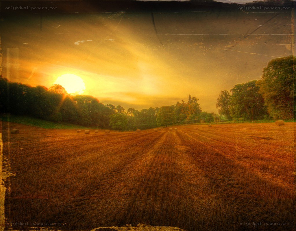 Sunset over a harvested field