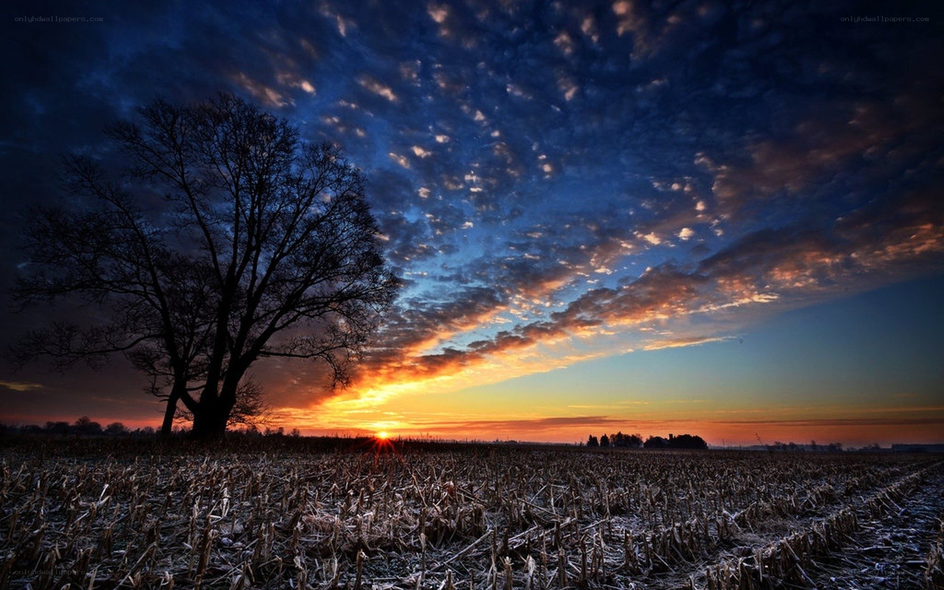 Sunset over a harvested field
