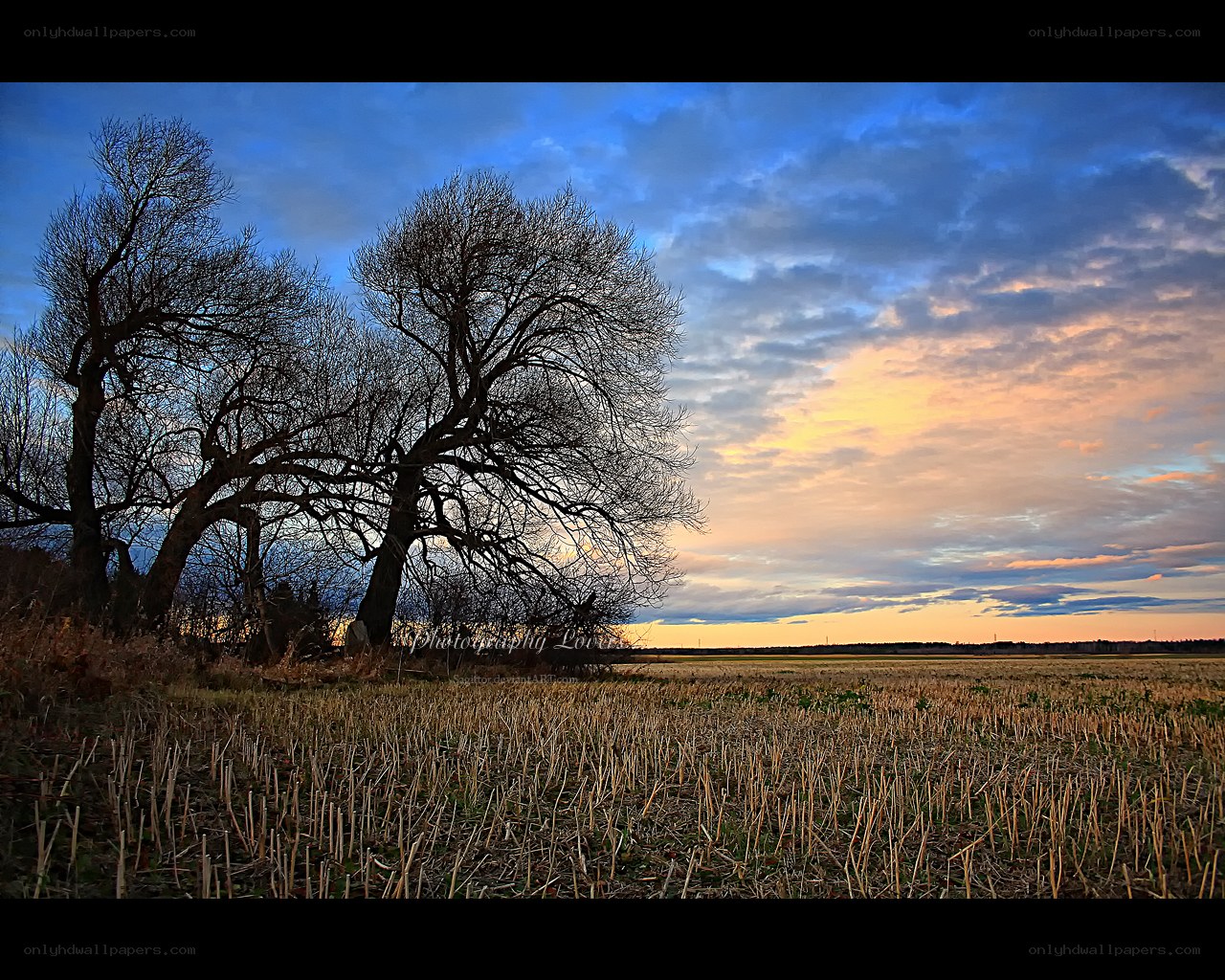 Sunset over a harvested field