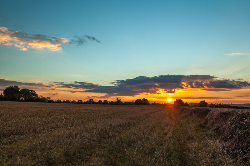 Sunset over a harvested field