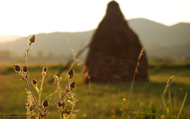 Sunset over a hay bale