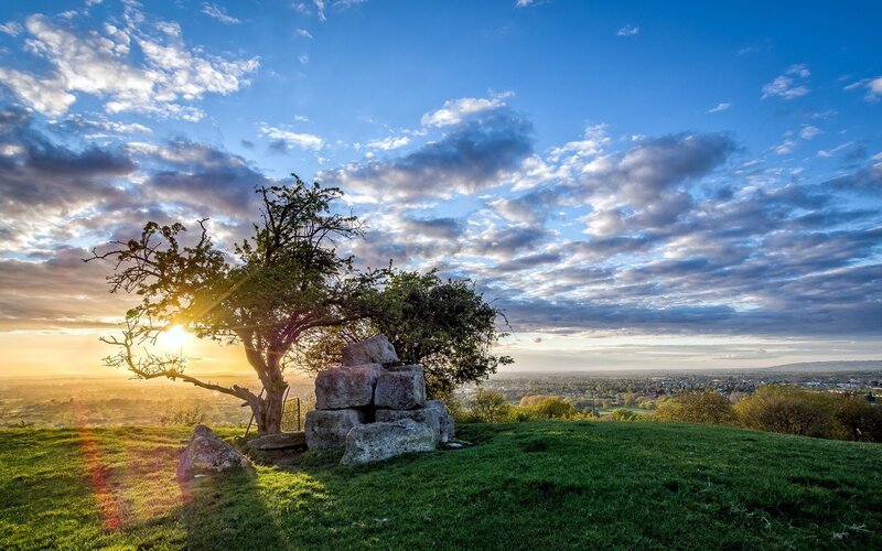 Sunset over a hill with a tree