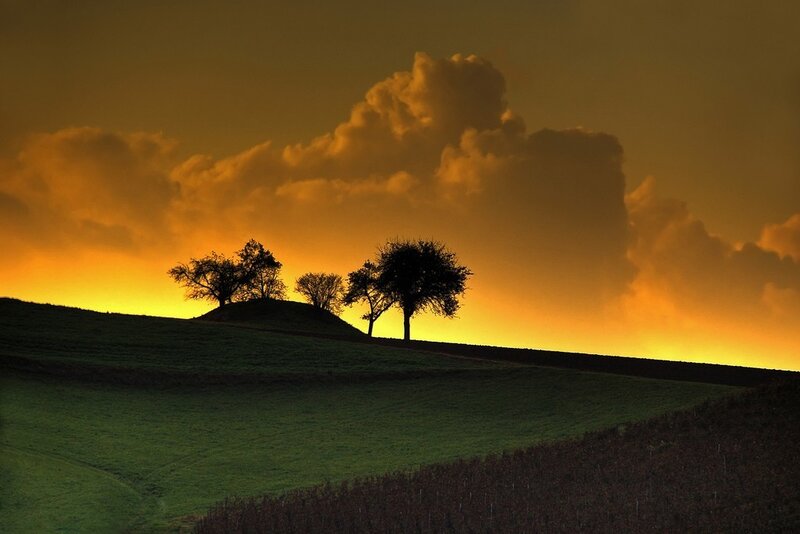 Sunset over a hill with trees