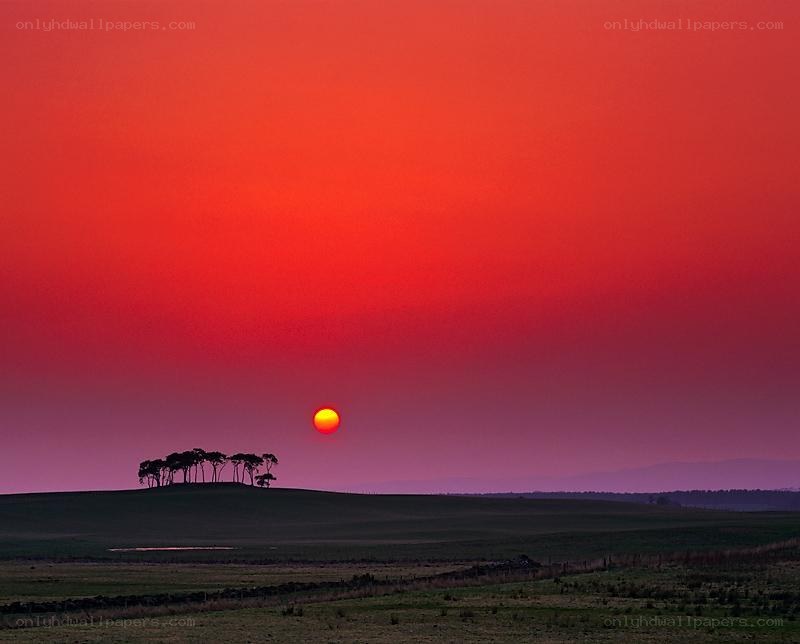 Sunset over a hill with trees