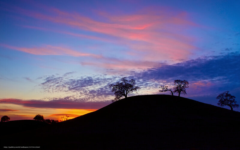 Sunset over a hill with trees