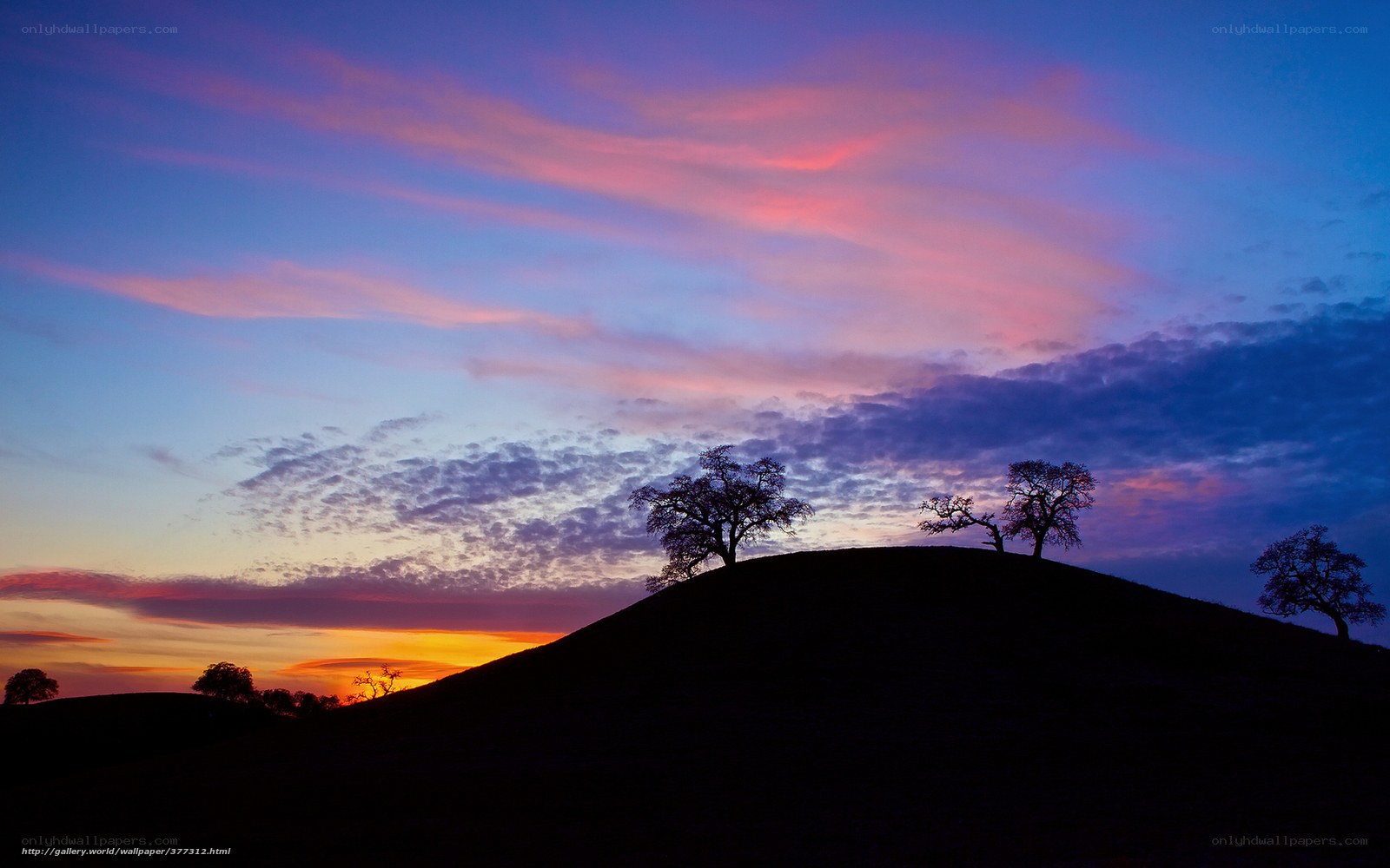 Sunset over a hill with trees