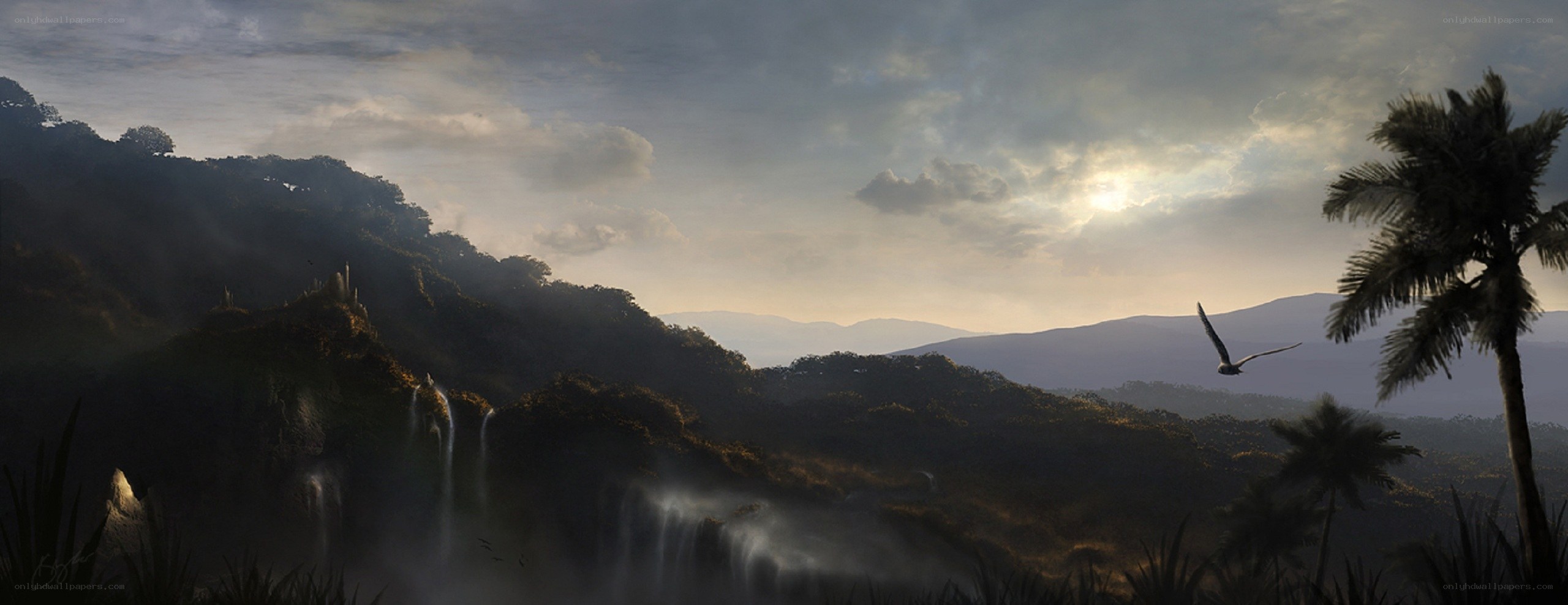 Sunset over a jungle landscape