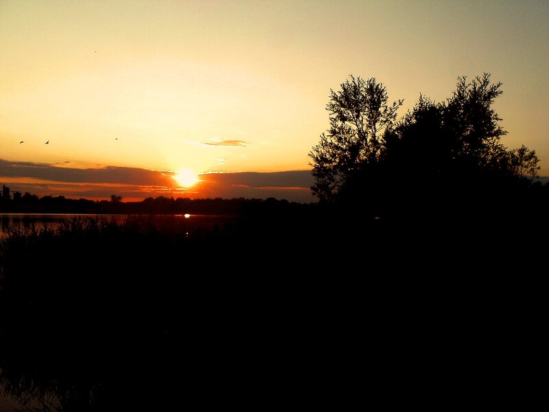 sunset over a lake