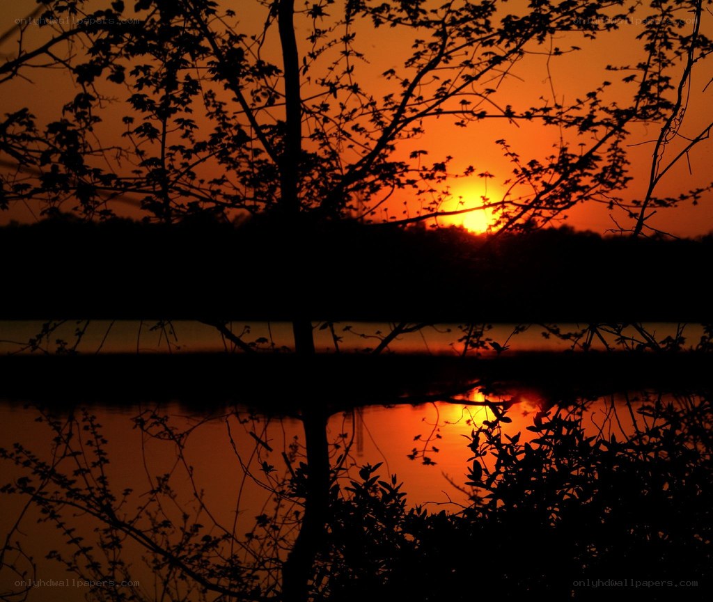 sunset over a lake