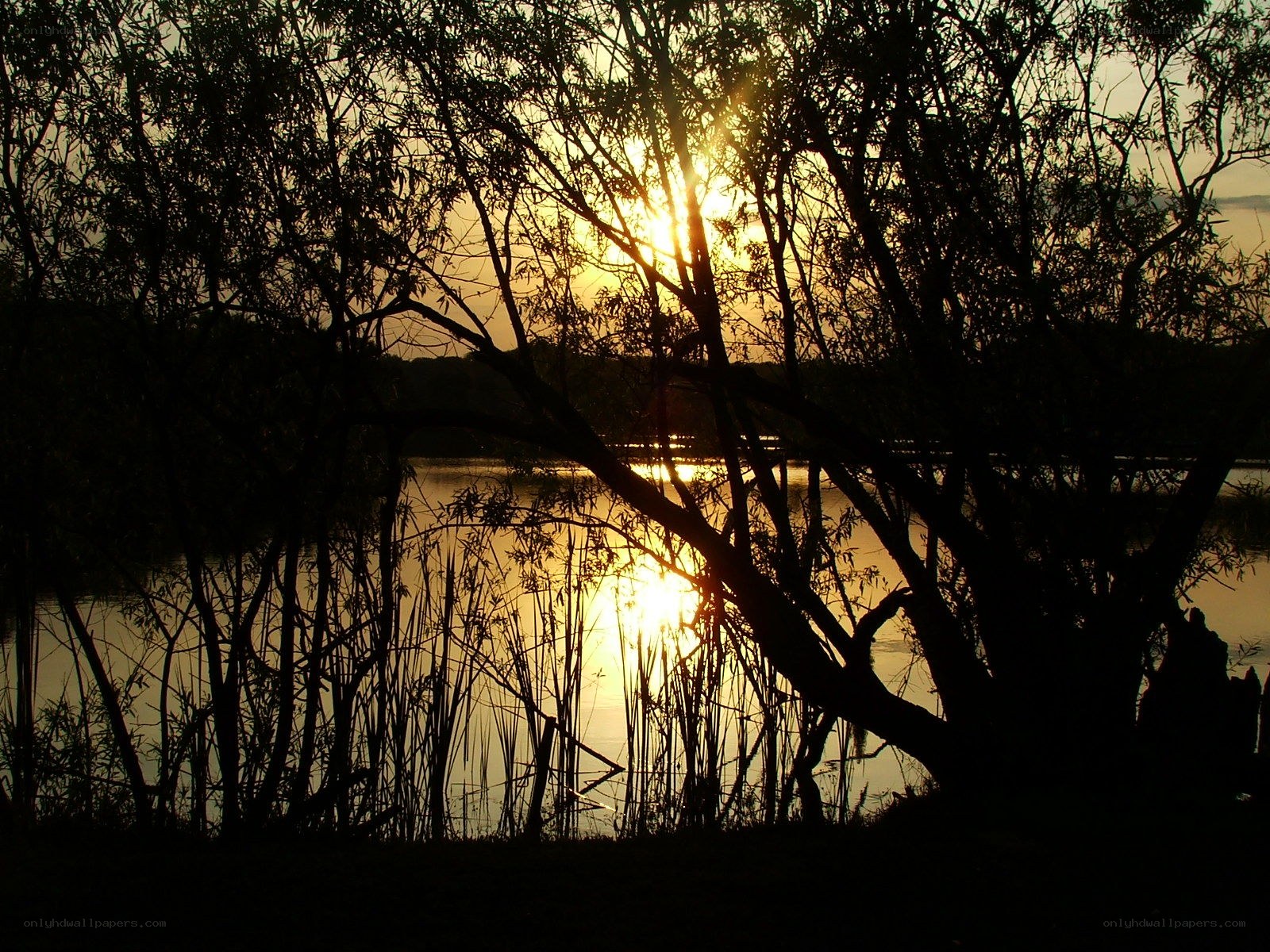 Sunset over a lake at dusk