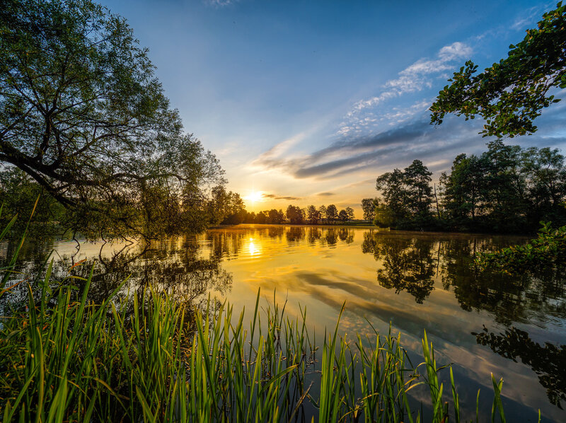 Sunset over a Lake — Blue, Serene, Photograph, Trees