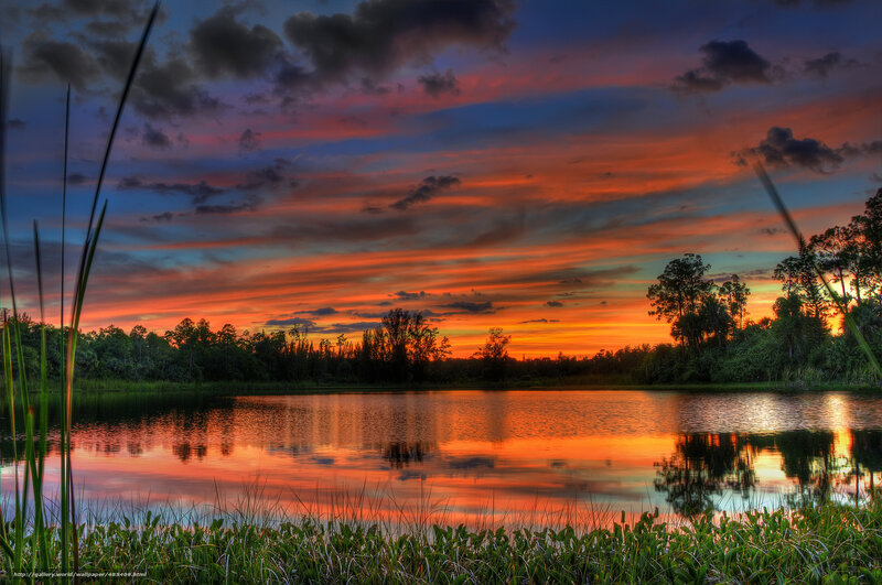 Sunset over a Lake — Orange, Dramatic, Photograph, Trees, Sky, Grass