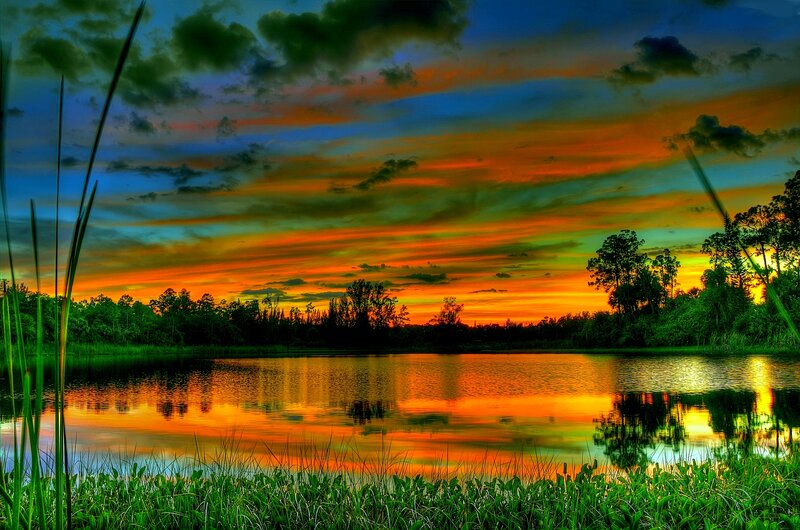 Sunset over a Lake — Orange, Dramatic, Photograph, Trees, Sky