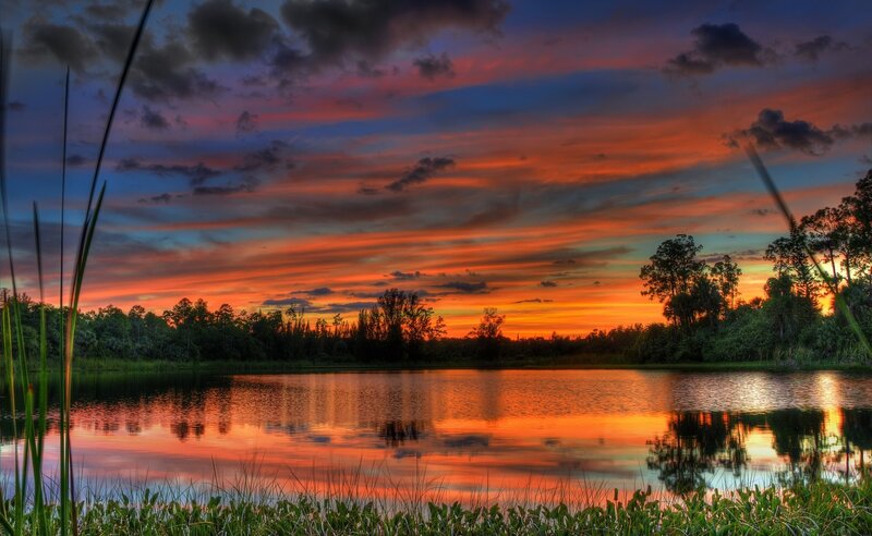 Sunset over a Lake — Orange, Dramatic, Photograph, Trees
