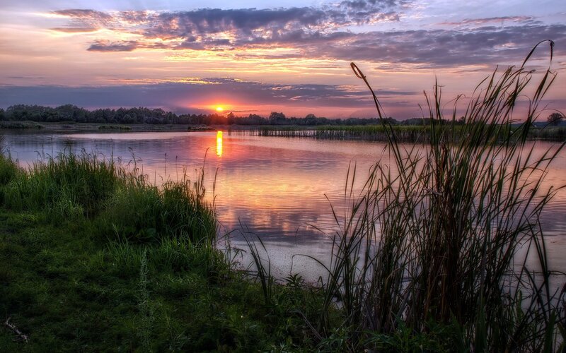 Sunset over a Lake — Orange, Serene, Photograph, Sky, Water, Reeds