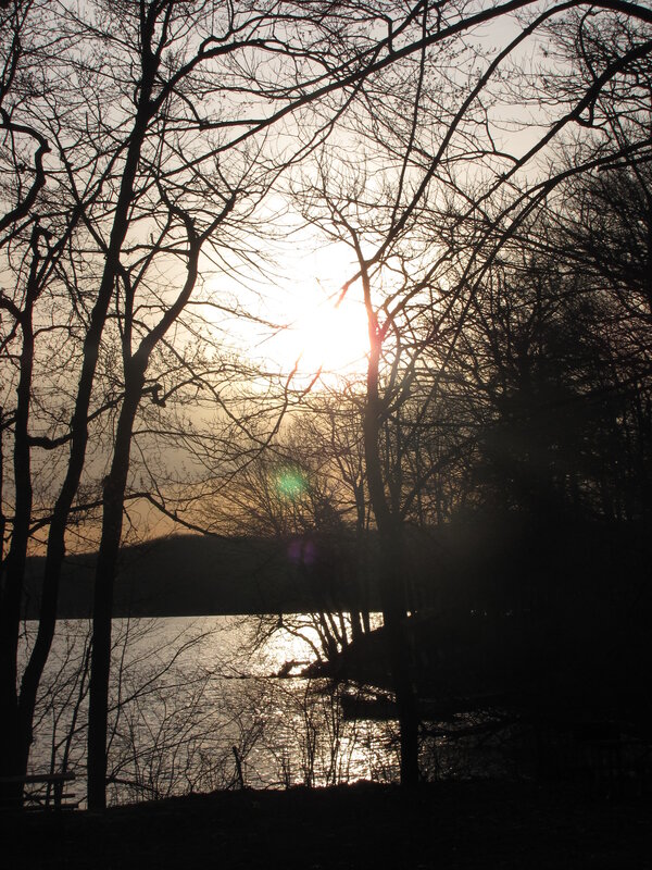 Sunset over a lake through trees