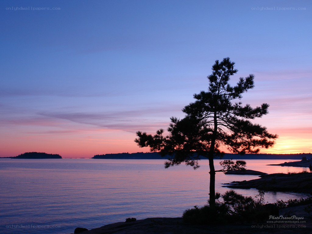 sunset over a lake with a lone tree