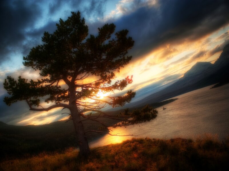 Sunset over a lake with a lone tree