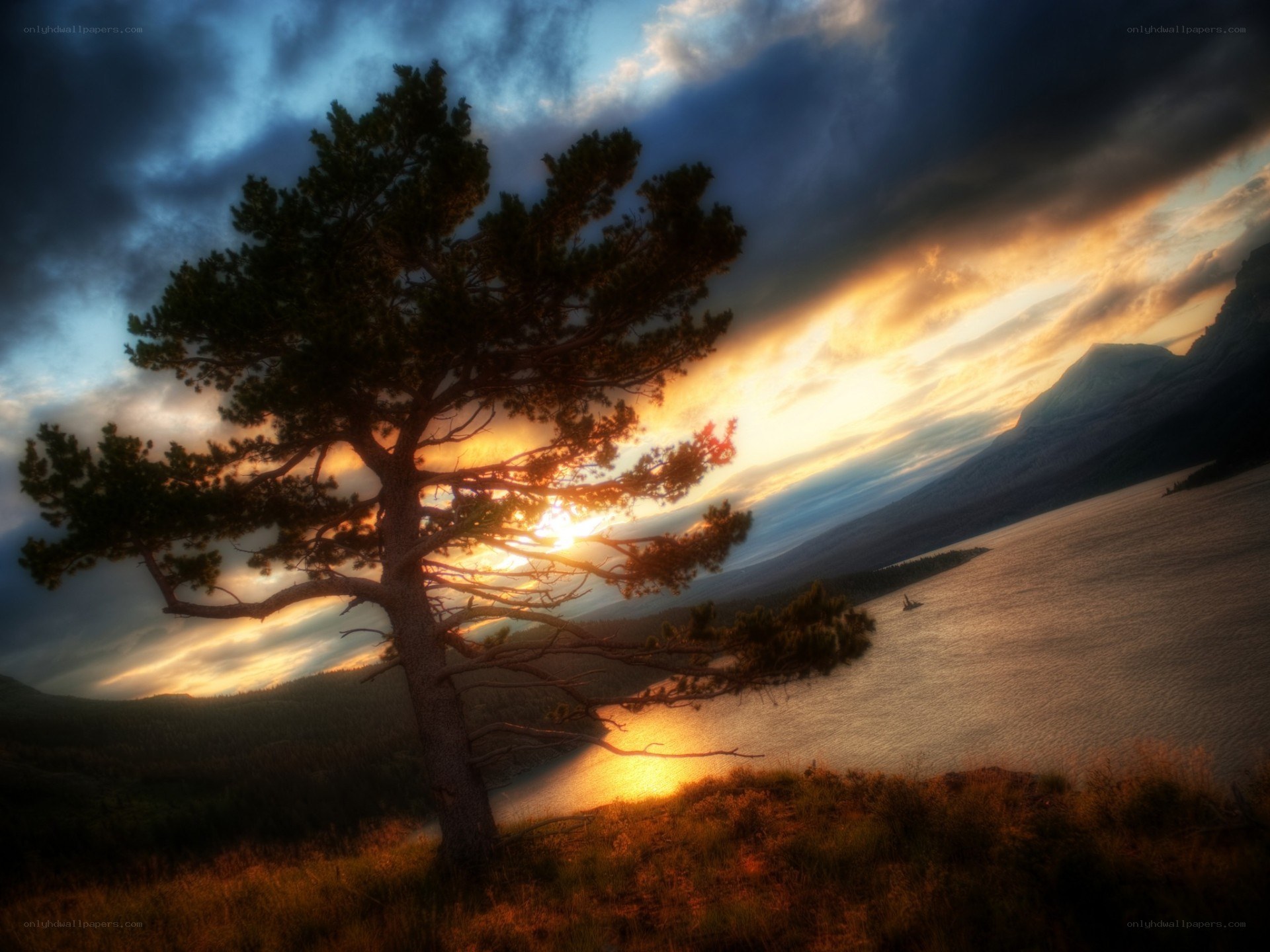 Sunset over a lake with a lone tree