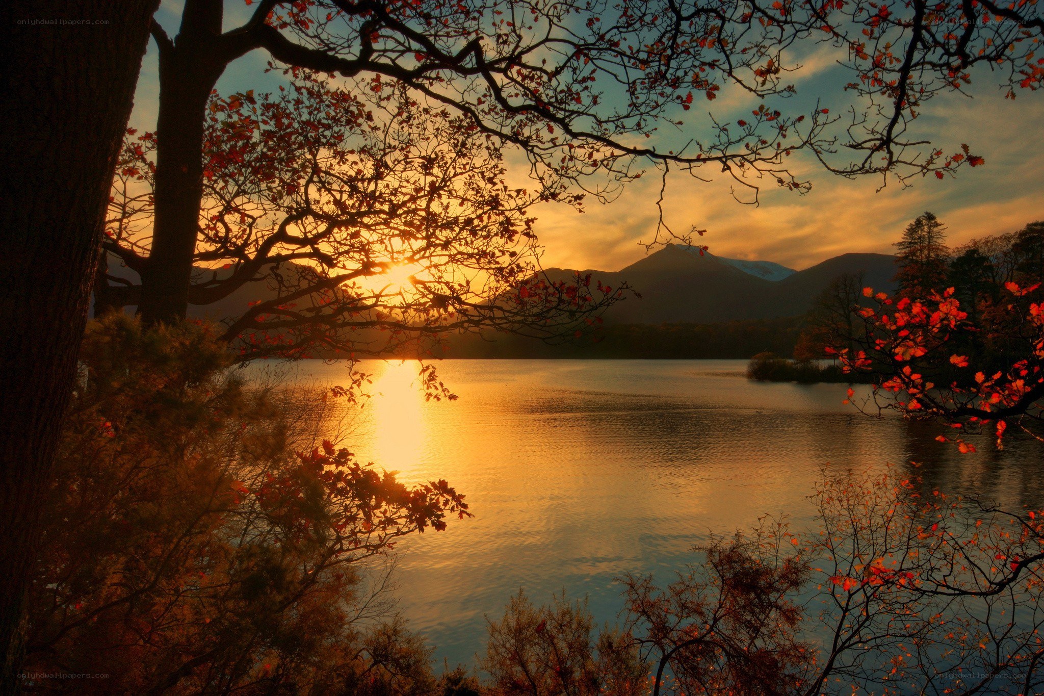 Sunset over a lake with autumn trees