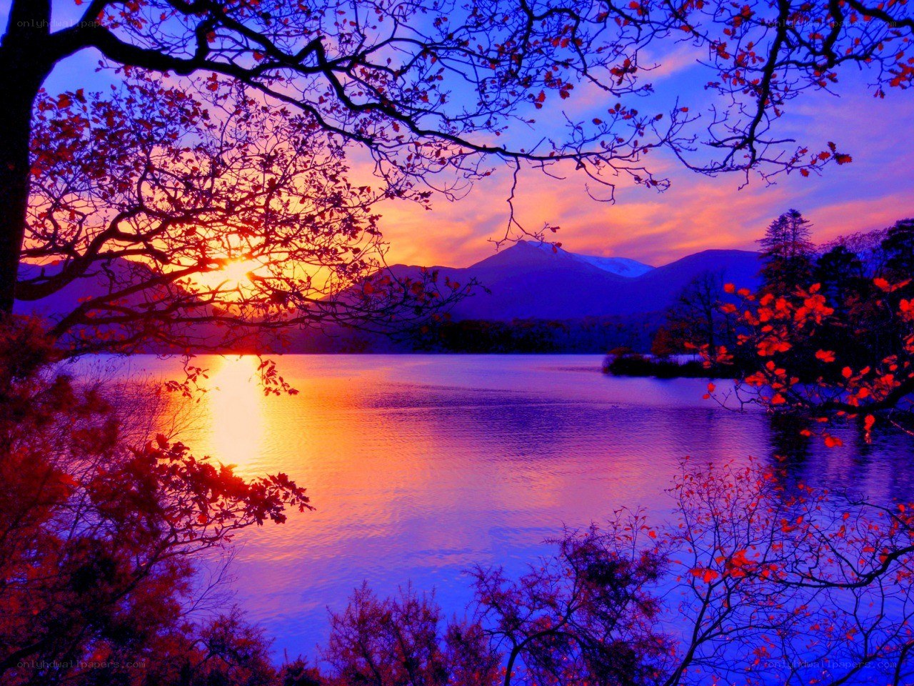 Sunset over a lake with autumn trees
