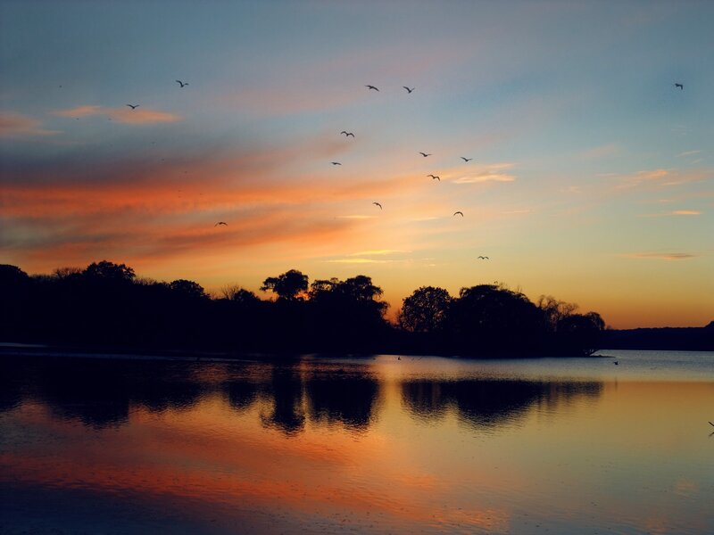 Sunset over a lake with birds