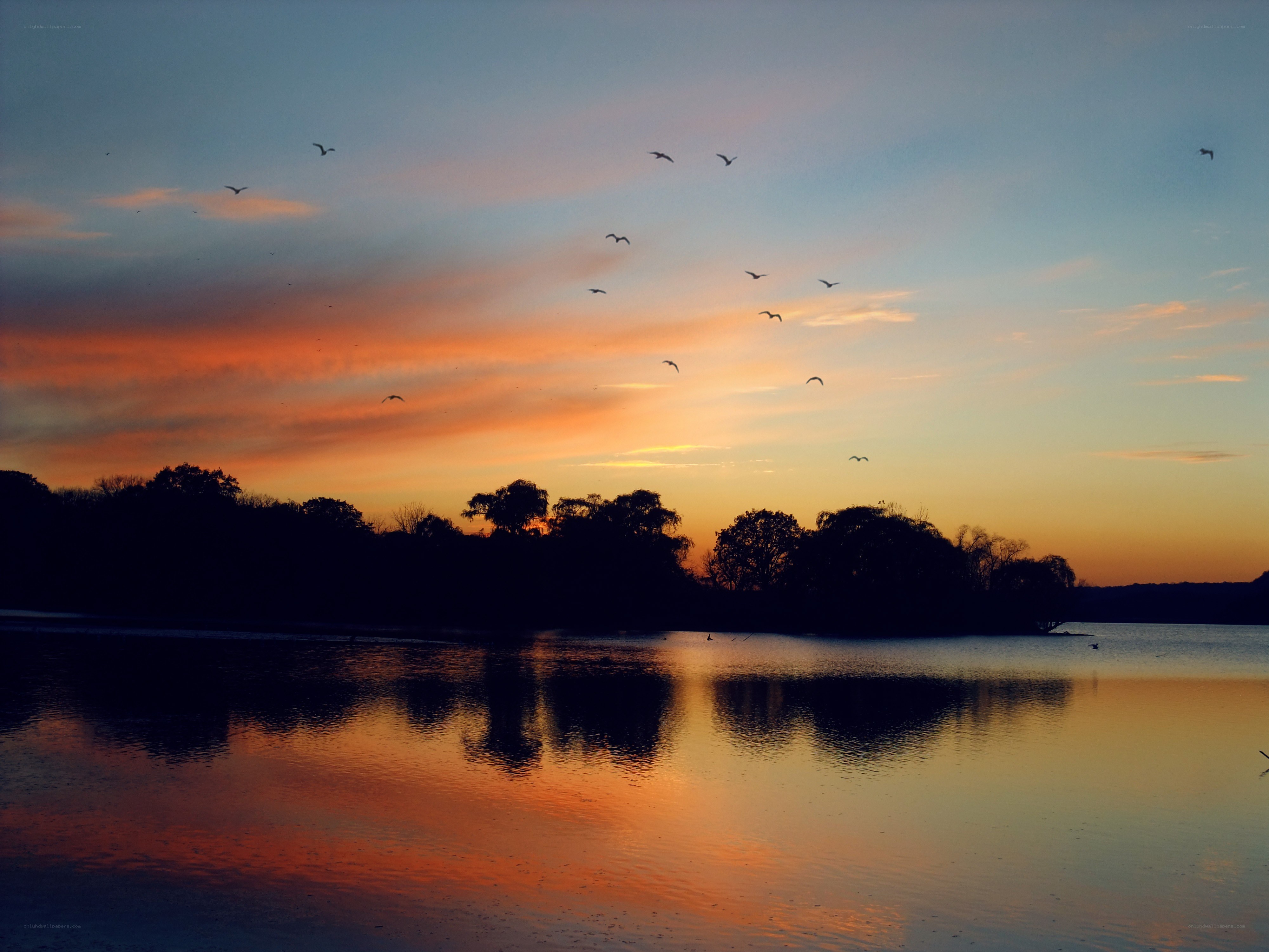 Sunset over a lake with birds