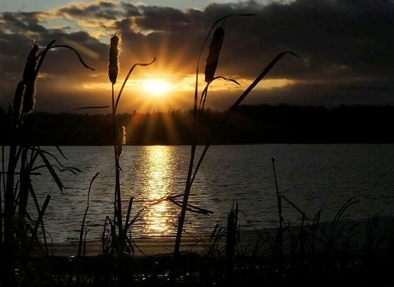 Sunset over a lake with cattails