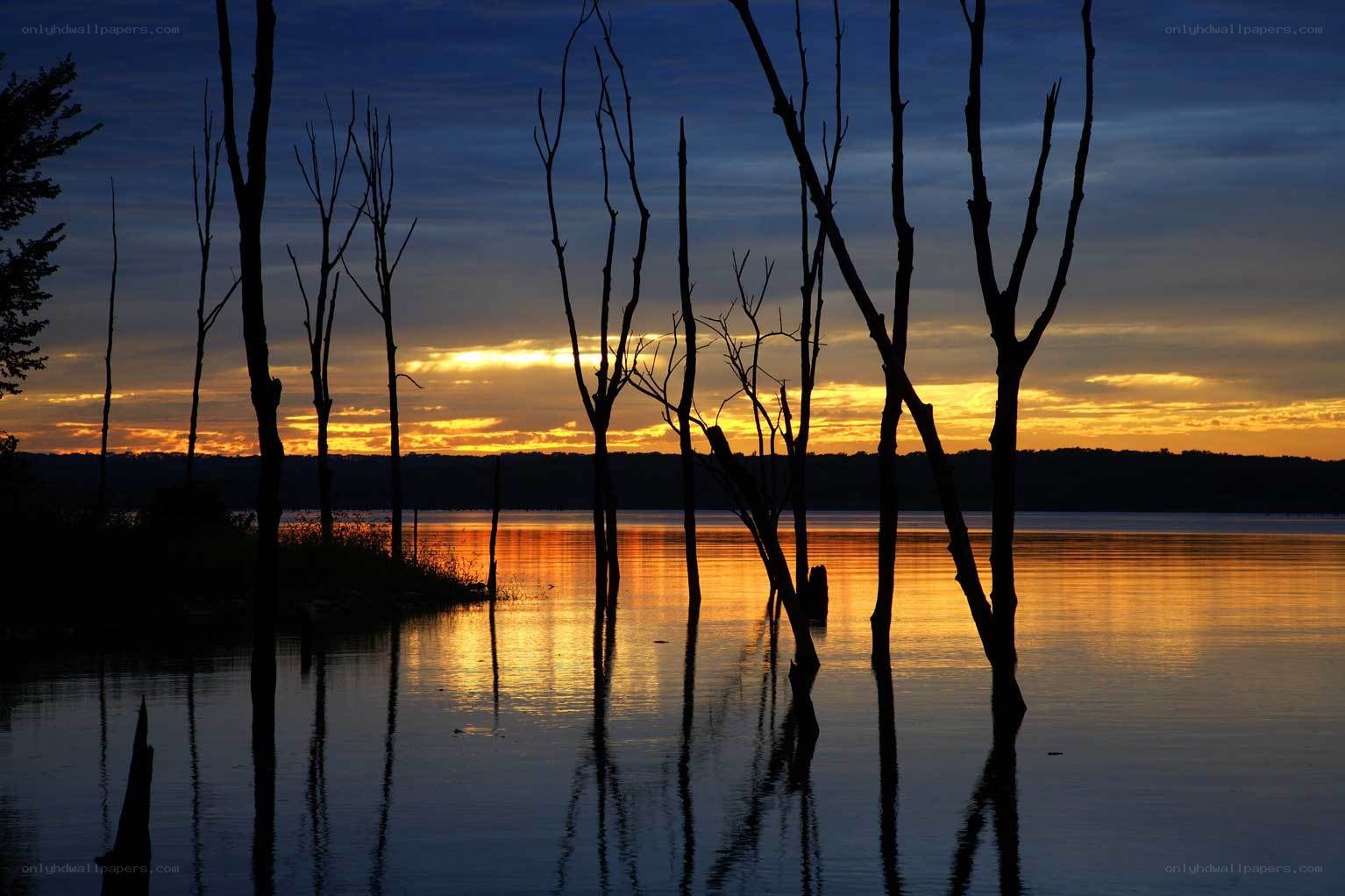 Sunset over a lake with dead trees