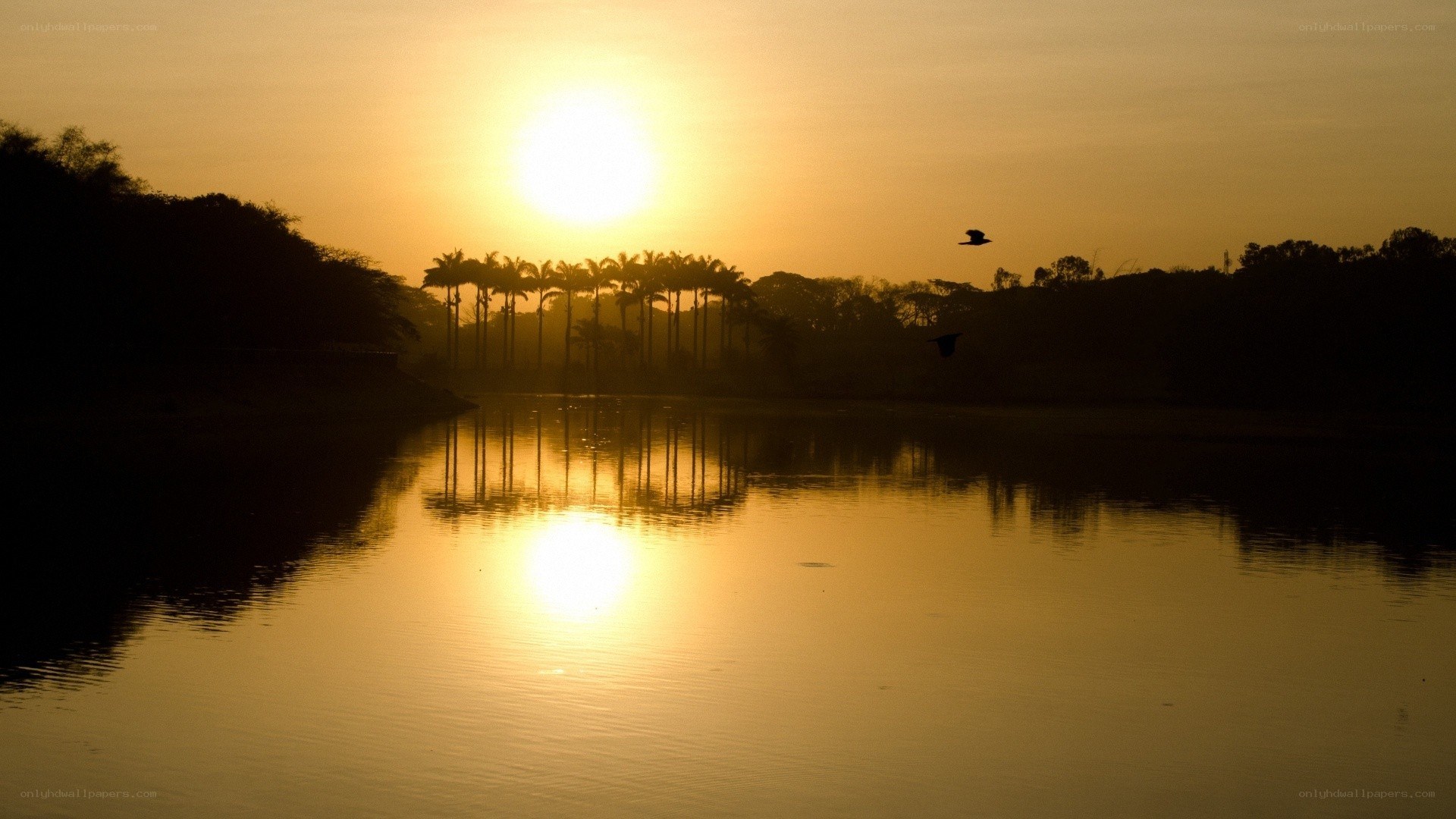 sunset over a lake with palm trees