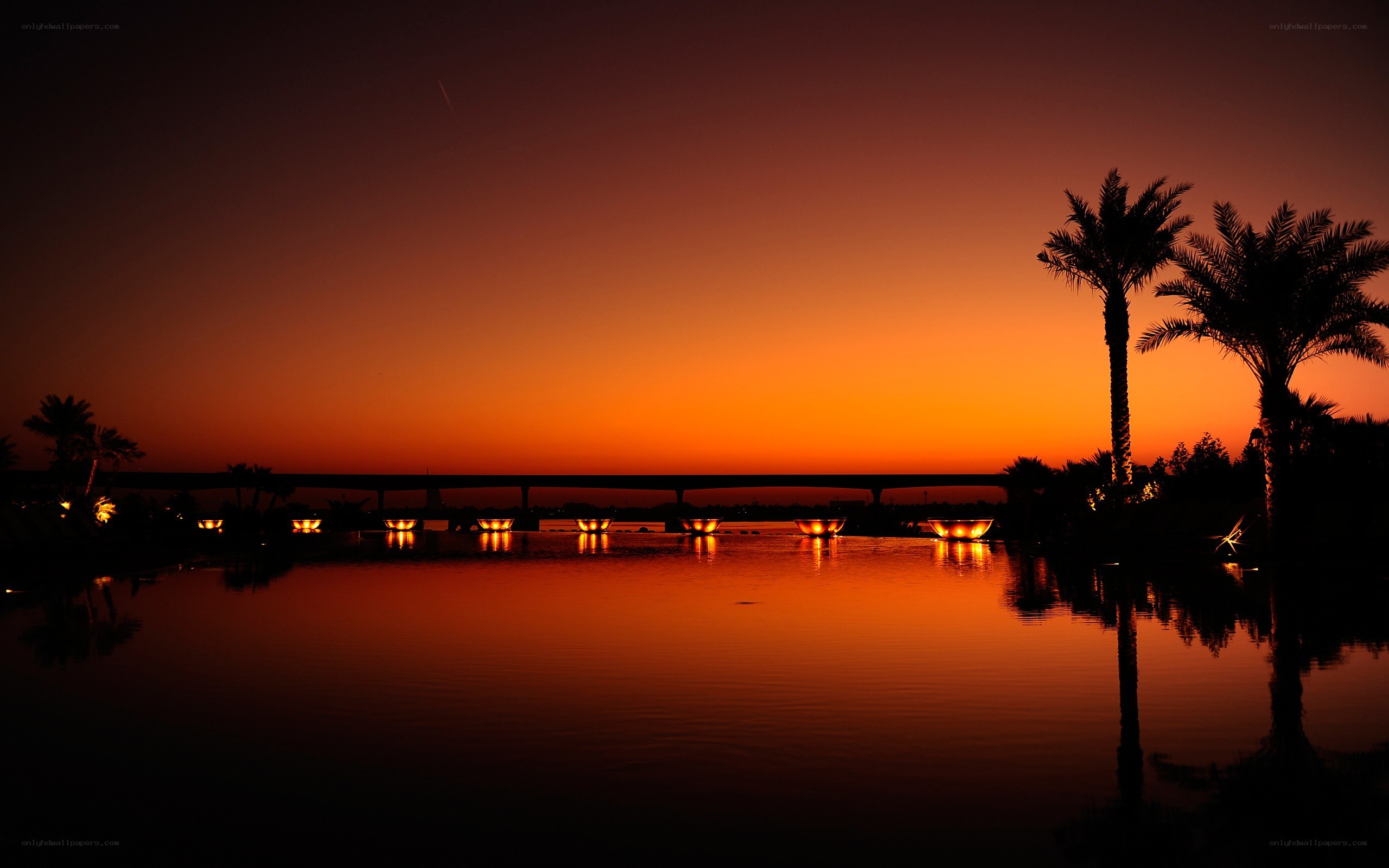 sunset over a lake with palm trees
