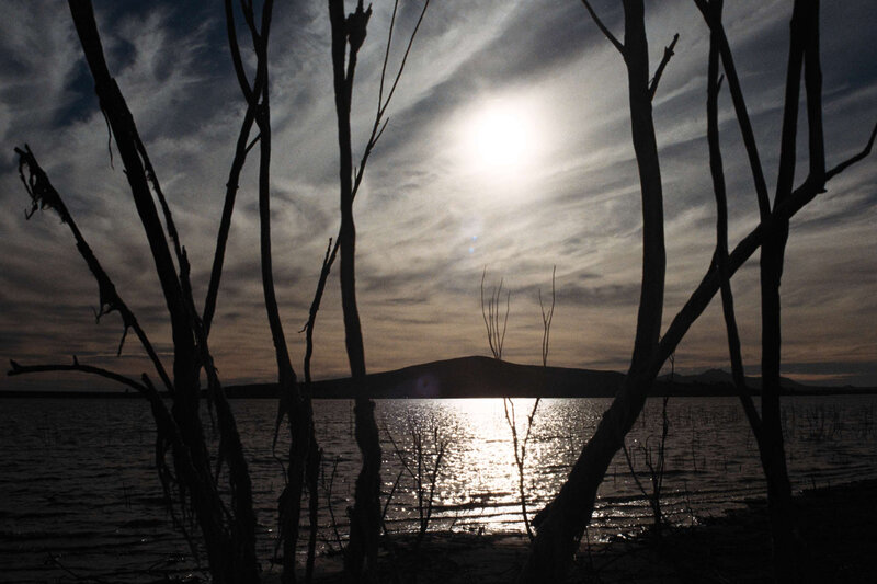 Sunset over a lake with silhouetted trees