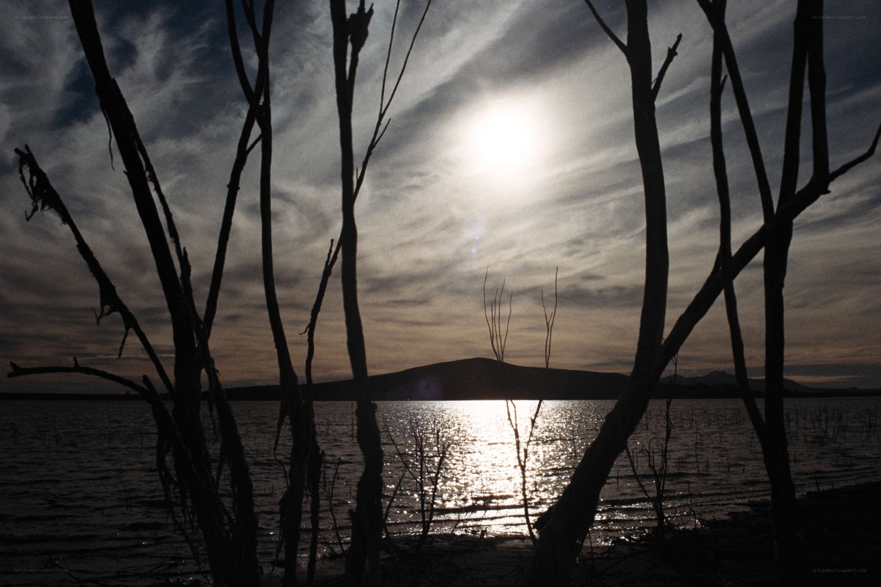Sunset over a lake with silhouetted trees