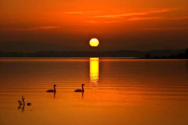 Sunset over a lake with swans