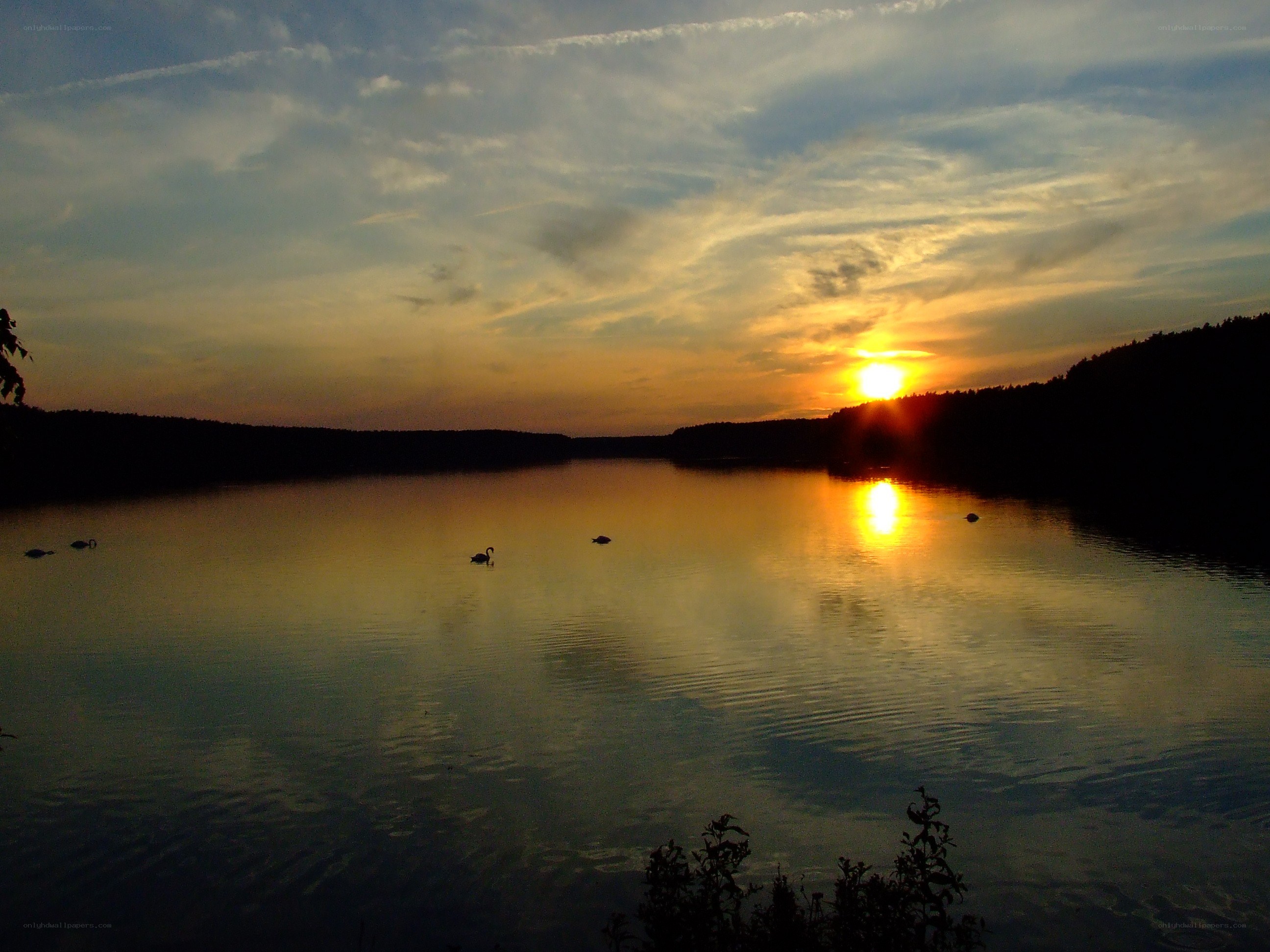 Sunset over a lake with swans