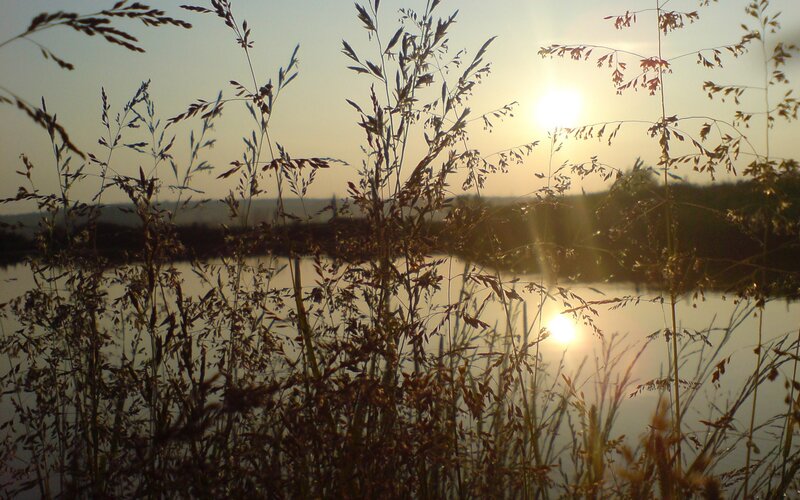 Sunset over a lake with tall grass