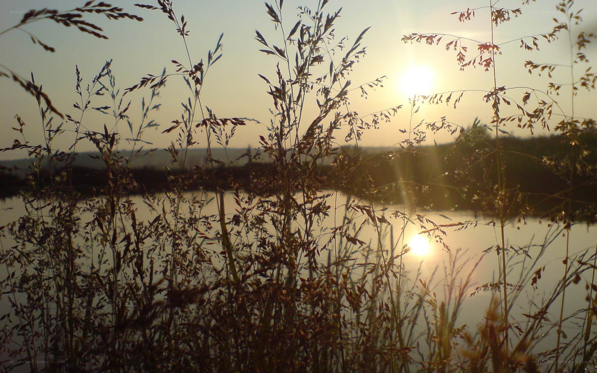Sunset over a lake with tall grass